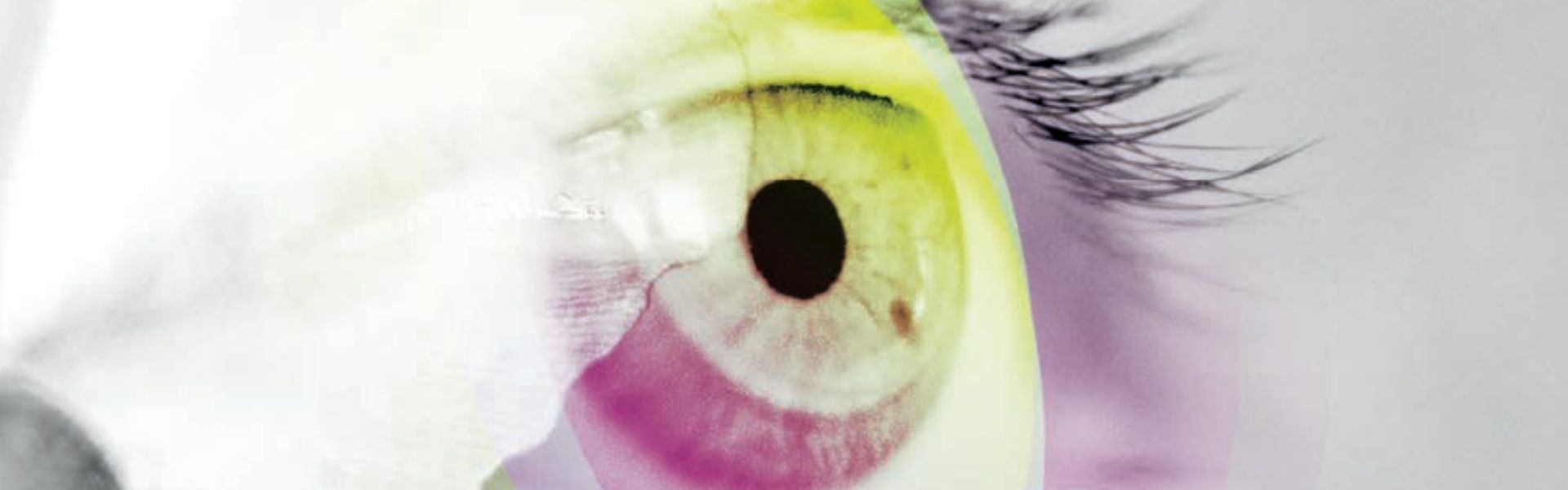 Mostra "Melissa". Forme di intelligenza vegetale