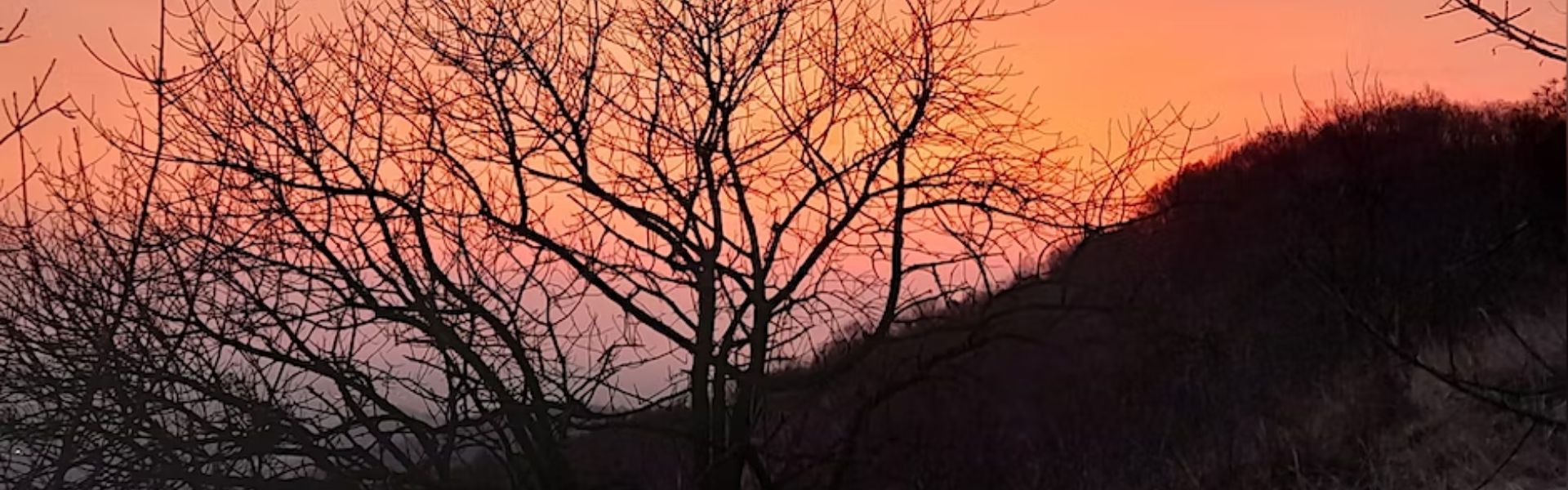 Festival Parco Colline 2023 – 15 aprile