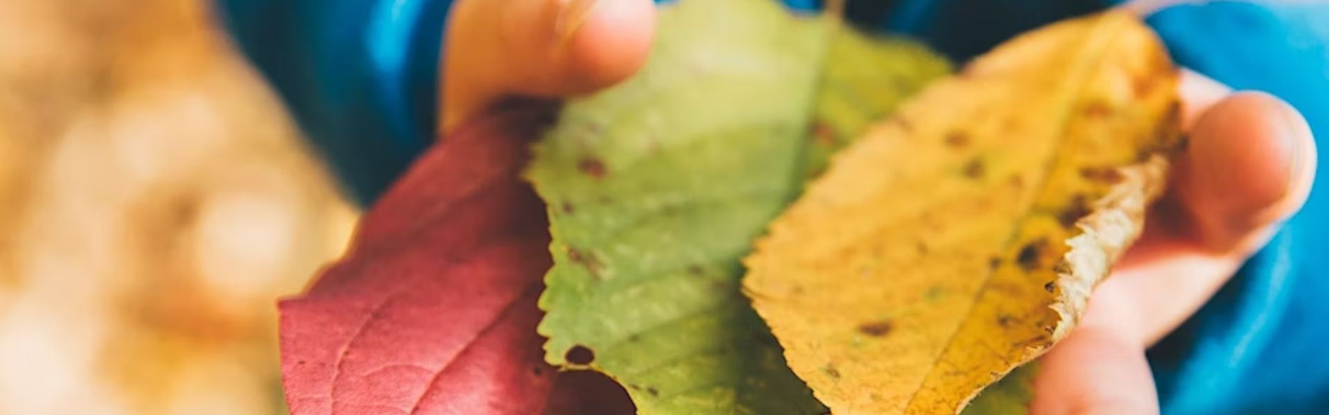 Festival Parco Colline 2023 –16 aprile pomeriggio