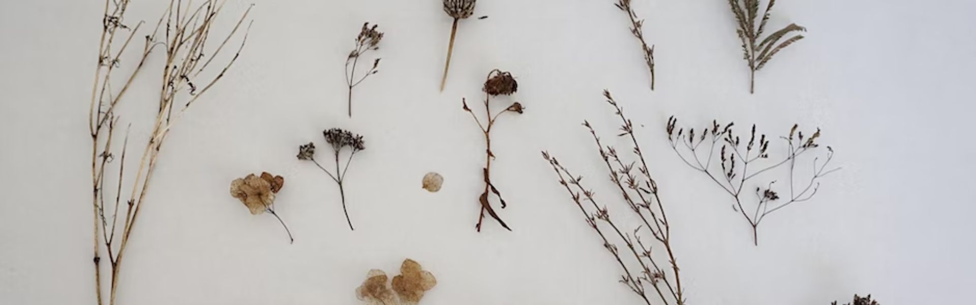 Festival Parco Colline 2023