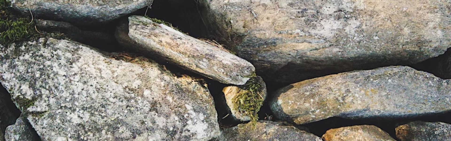 Festival Parco Colline 2023 – 29 aprile