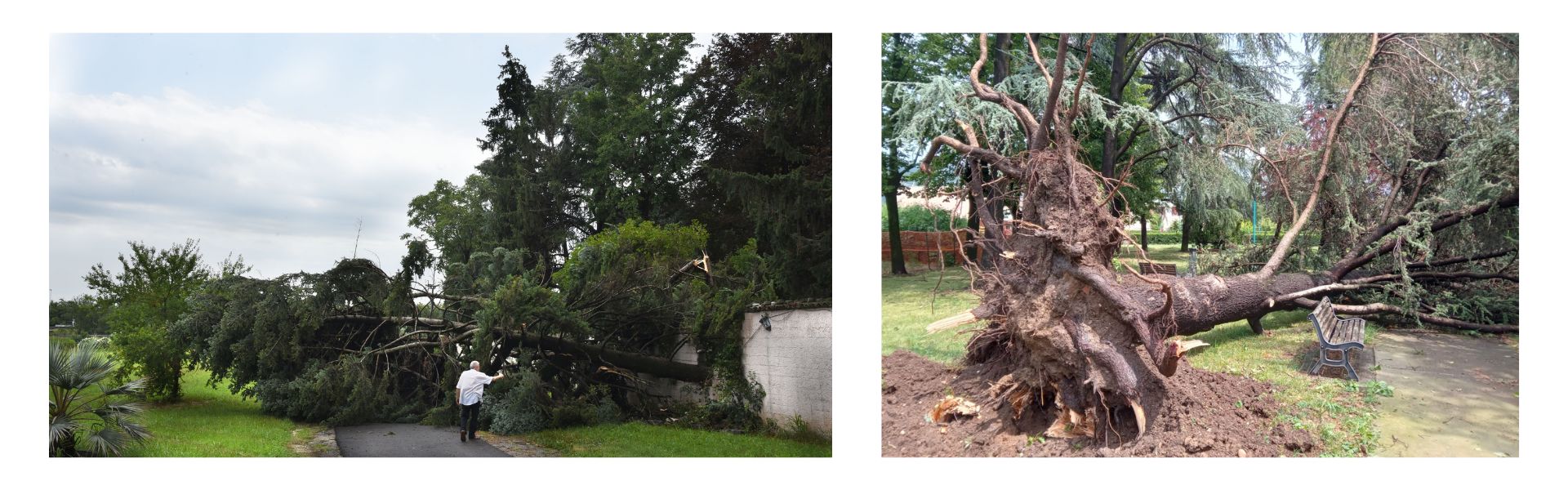 Eventi atmosferici 21-24 luglio