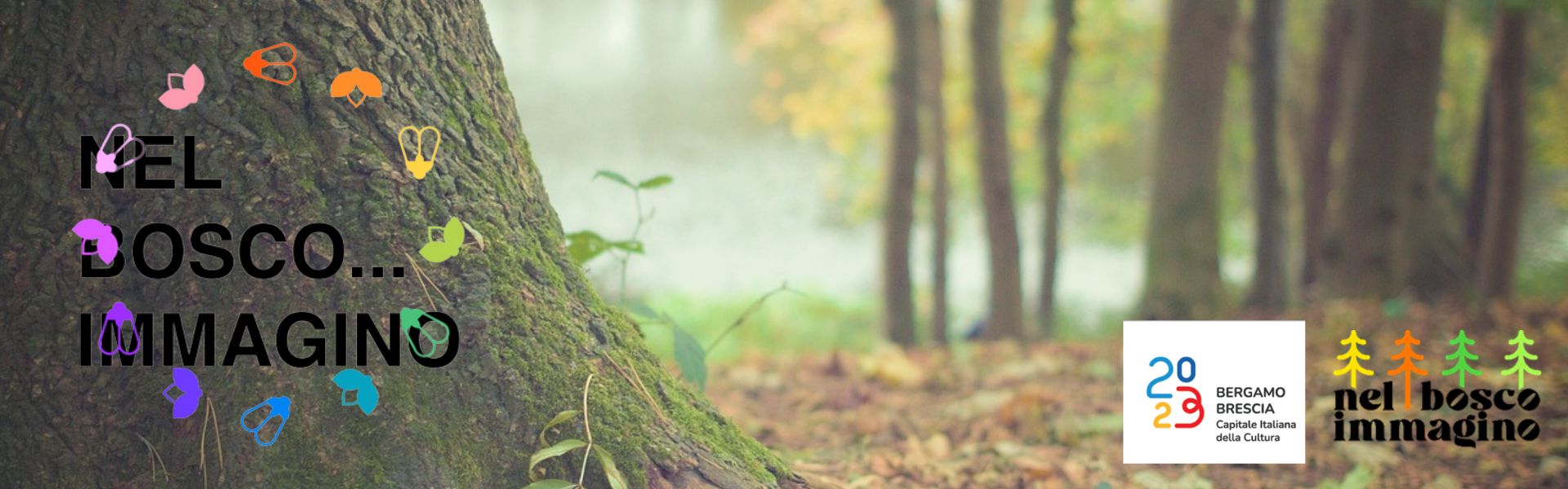 Nel bosco … immagino – 8 settembre