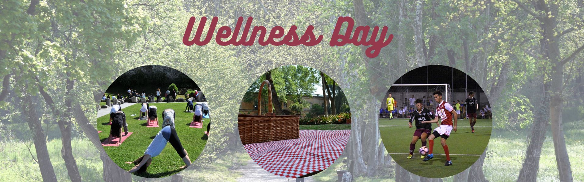 Wellness Day
