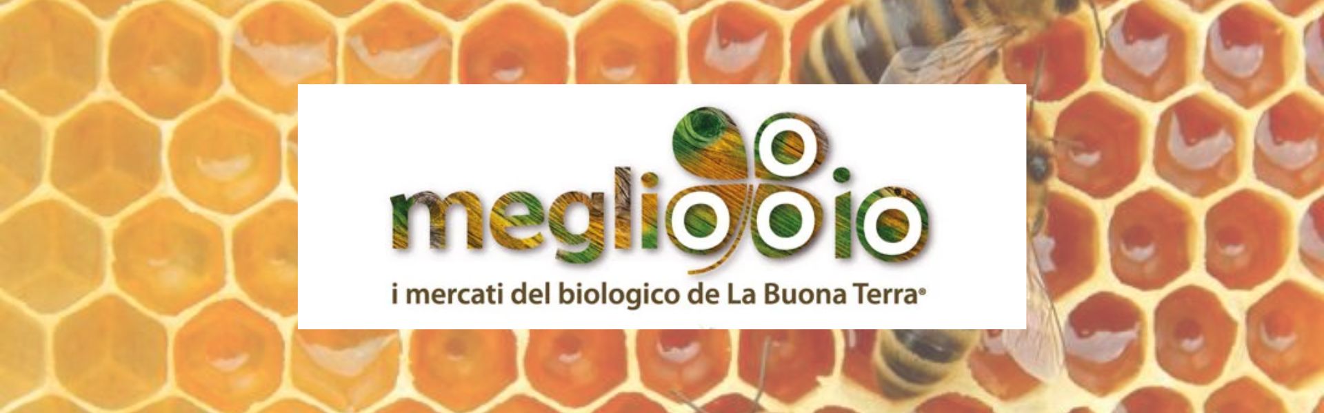 Meglio Bio in piazza - 12 novembre