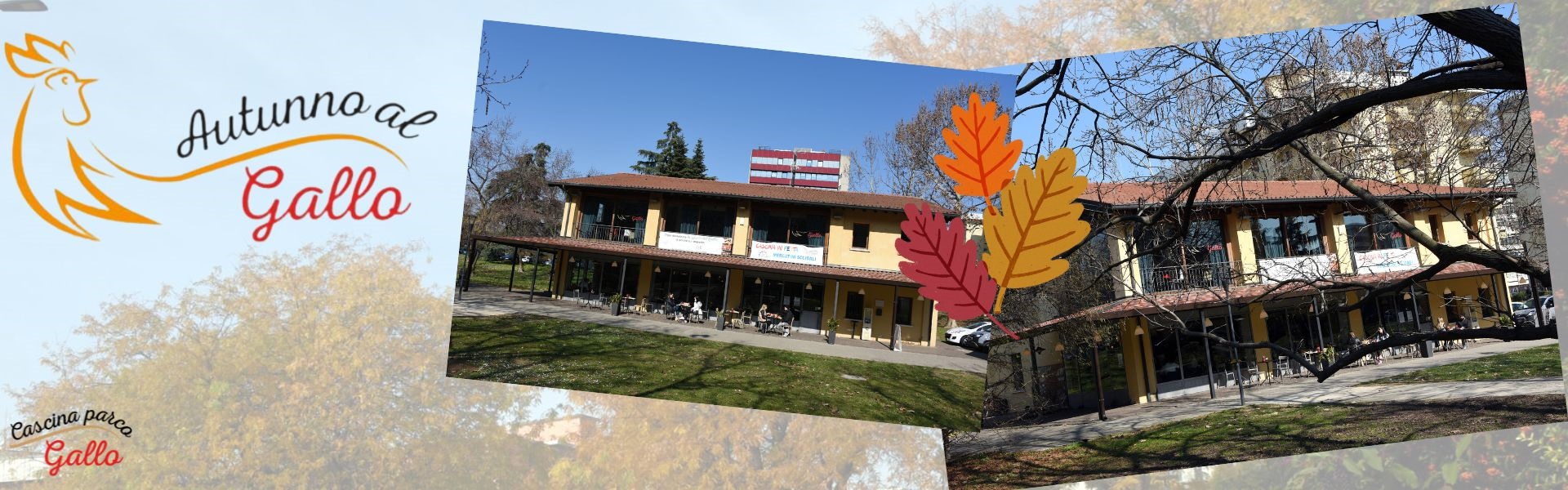 Autunno al gallo 2023