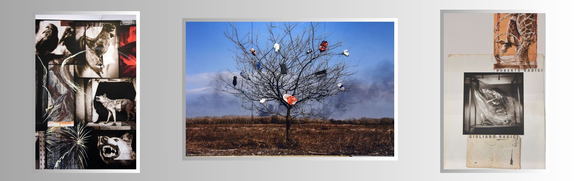 La mostra si dona - 14 dicembre 