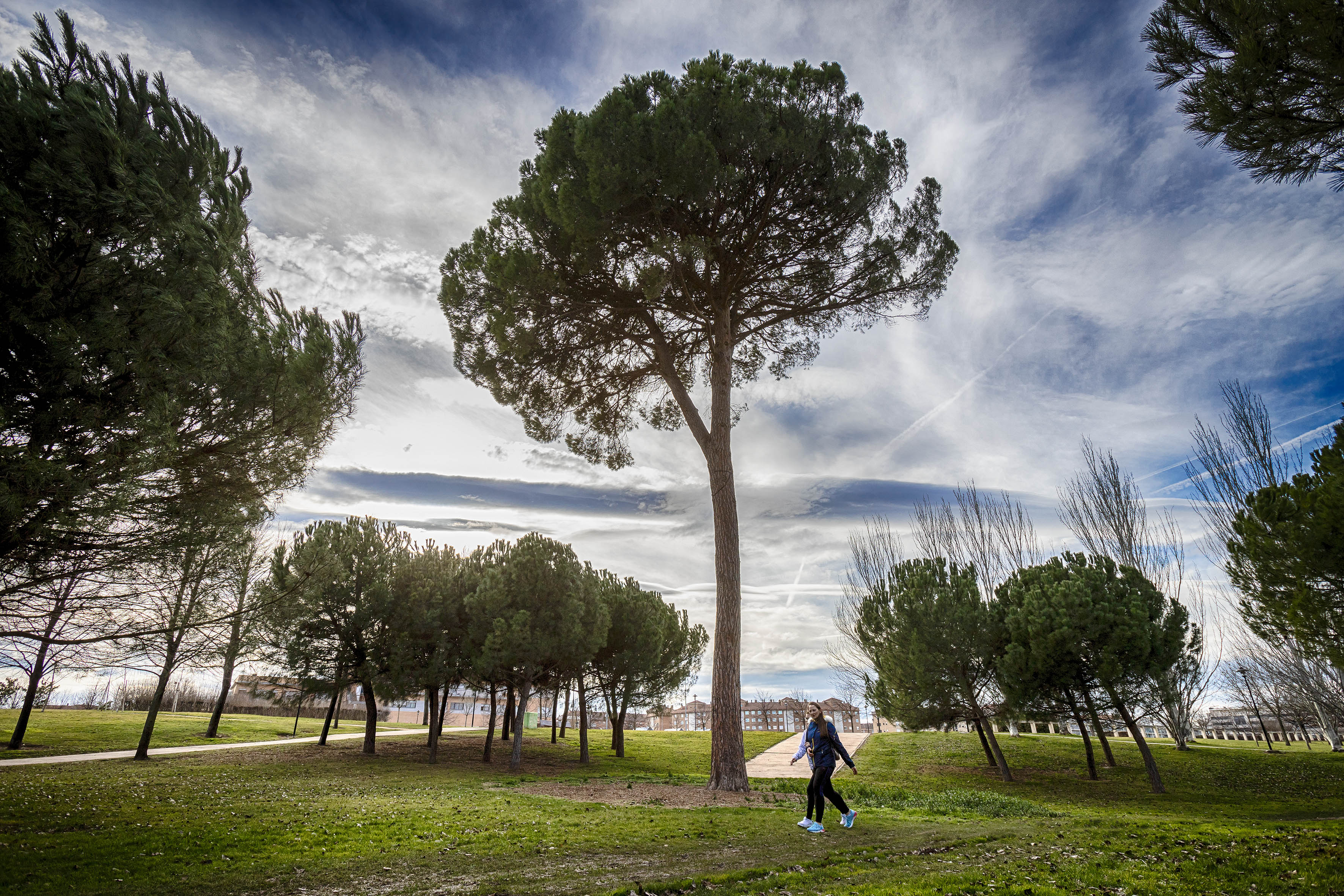 /Parque%20del%20Ebro