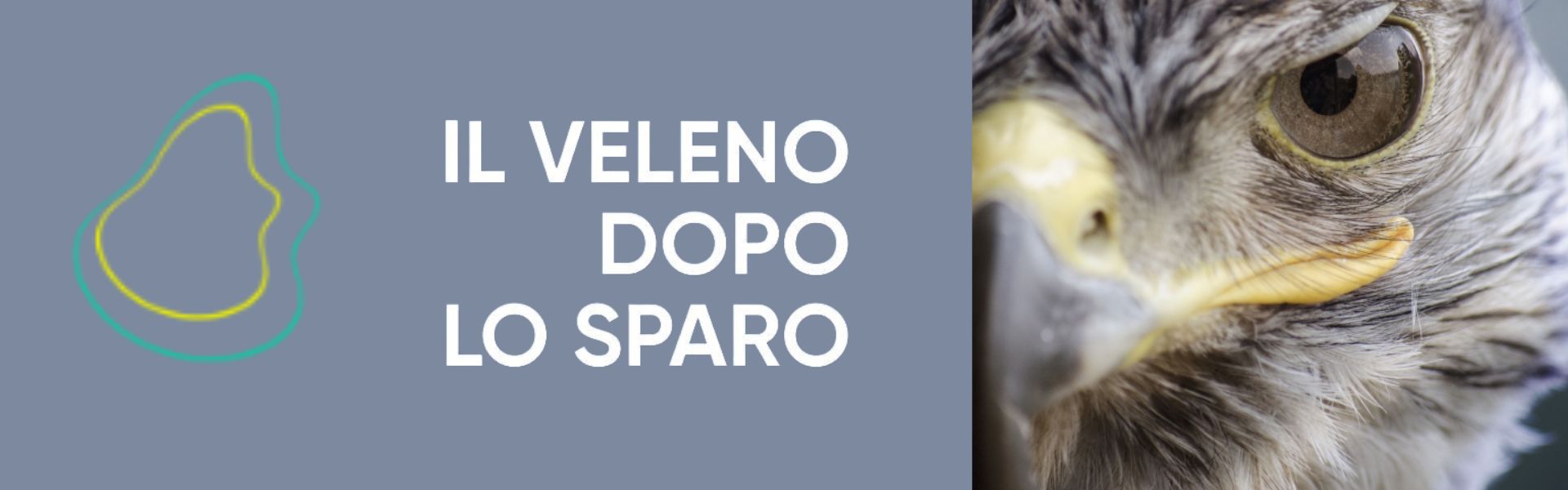 Veleno dopo sparo (museo scienze)