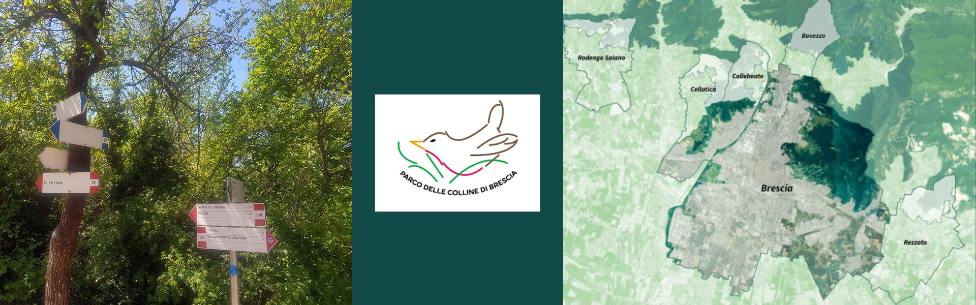 Cartellonistica Parco delle Colline