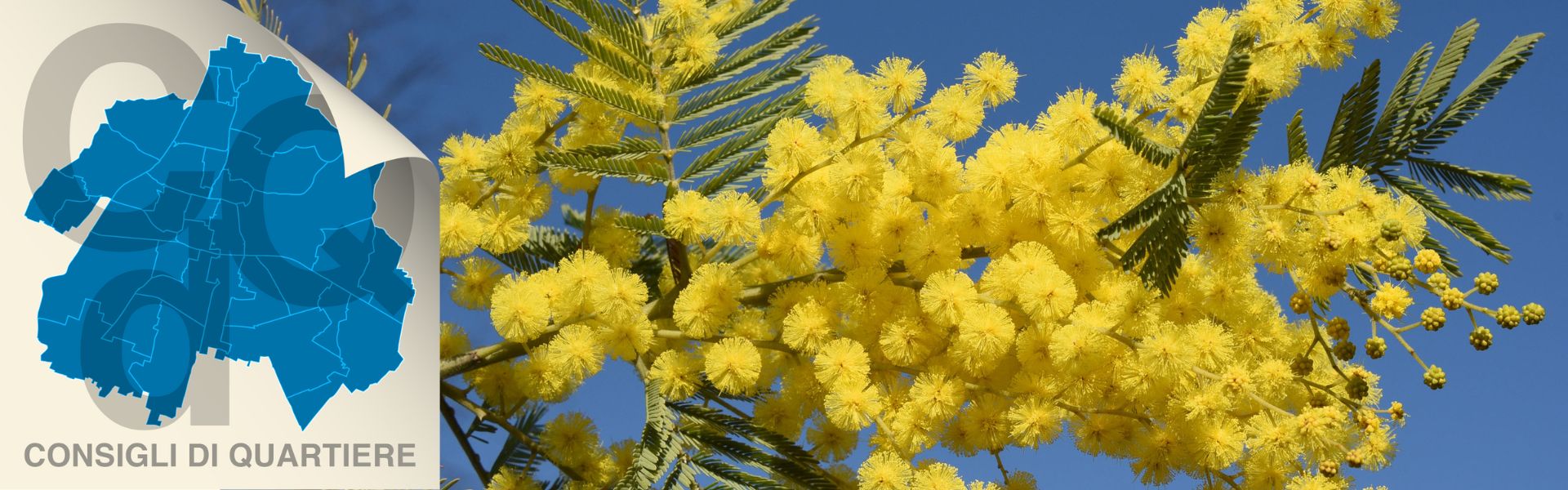 Festa della Donna - Iniziative CDQ
