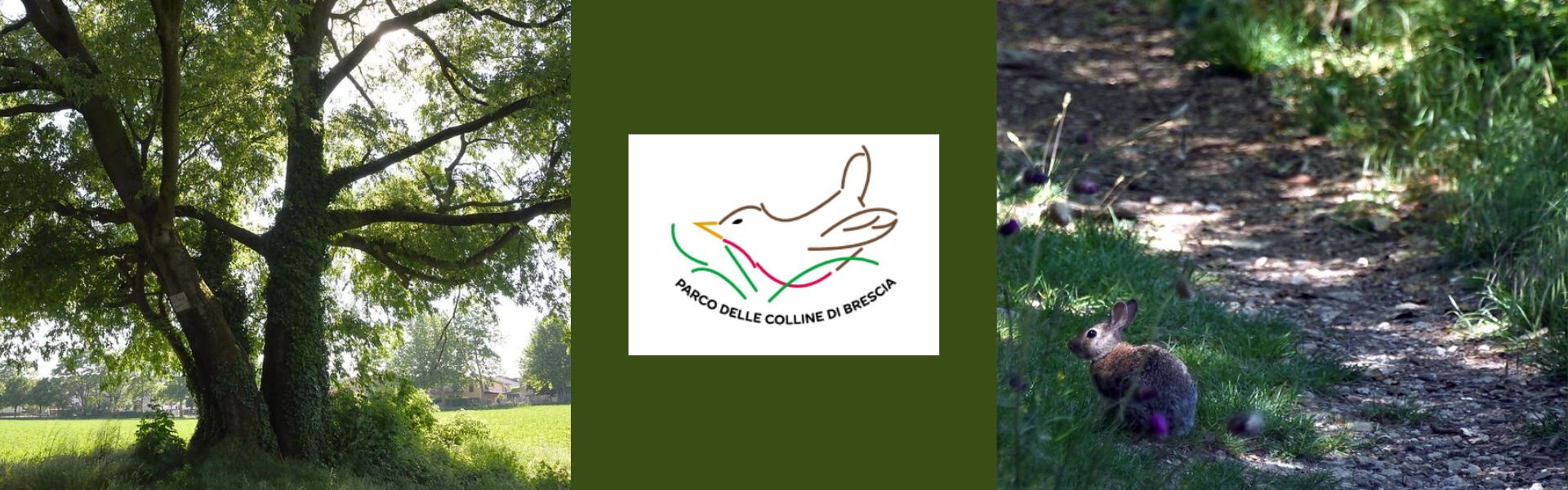 Patti di collaborazione Parco delle Colline