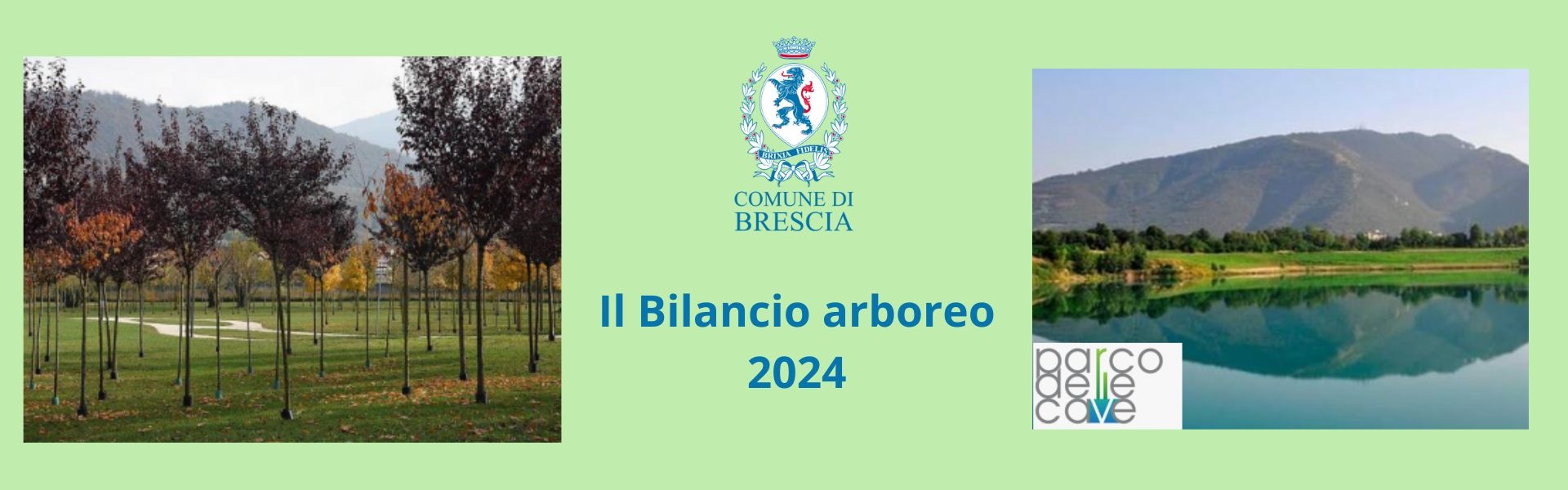 Bilancio arboreo 2024