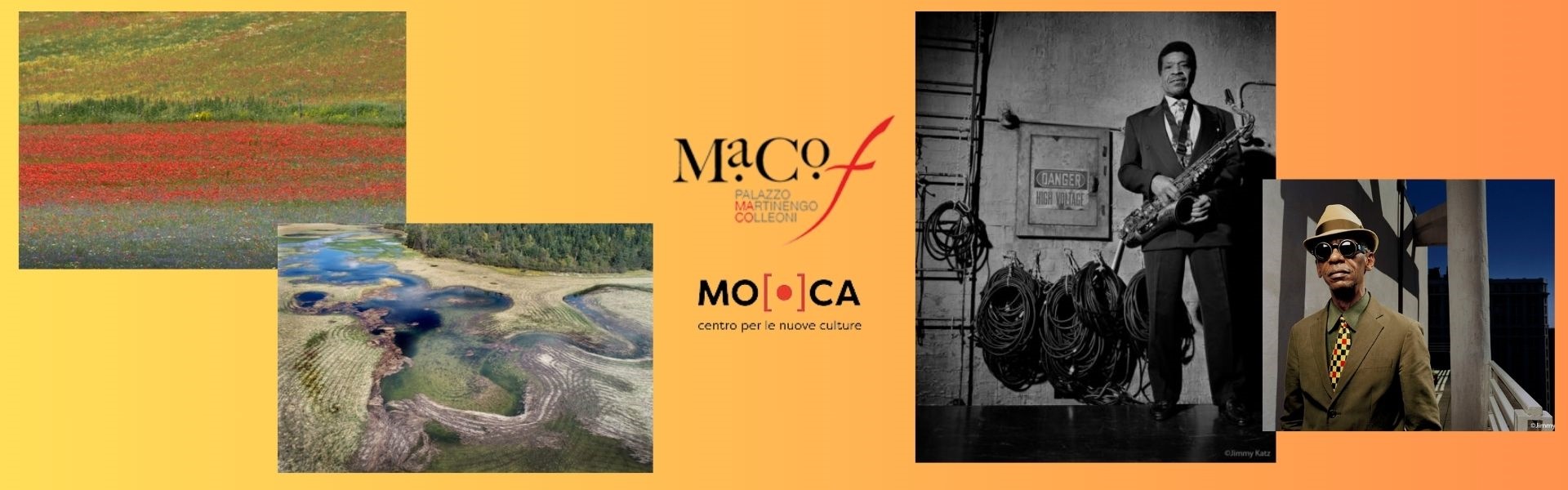 Mostre Macof - Naturalia e Dual rhythms - 28 luglio-9 agosto