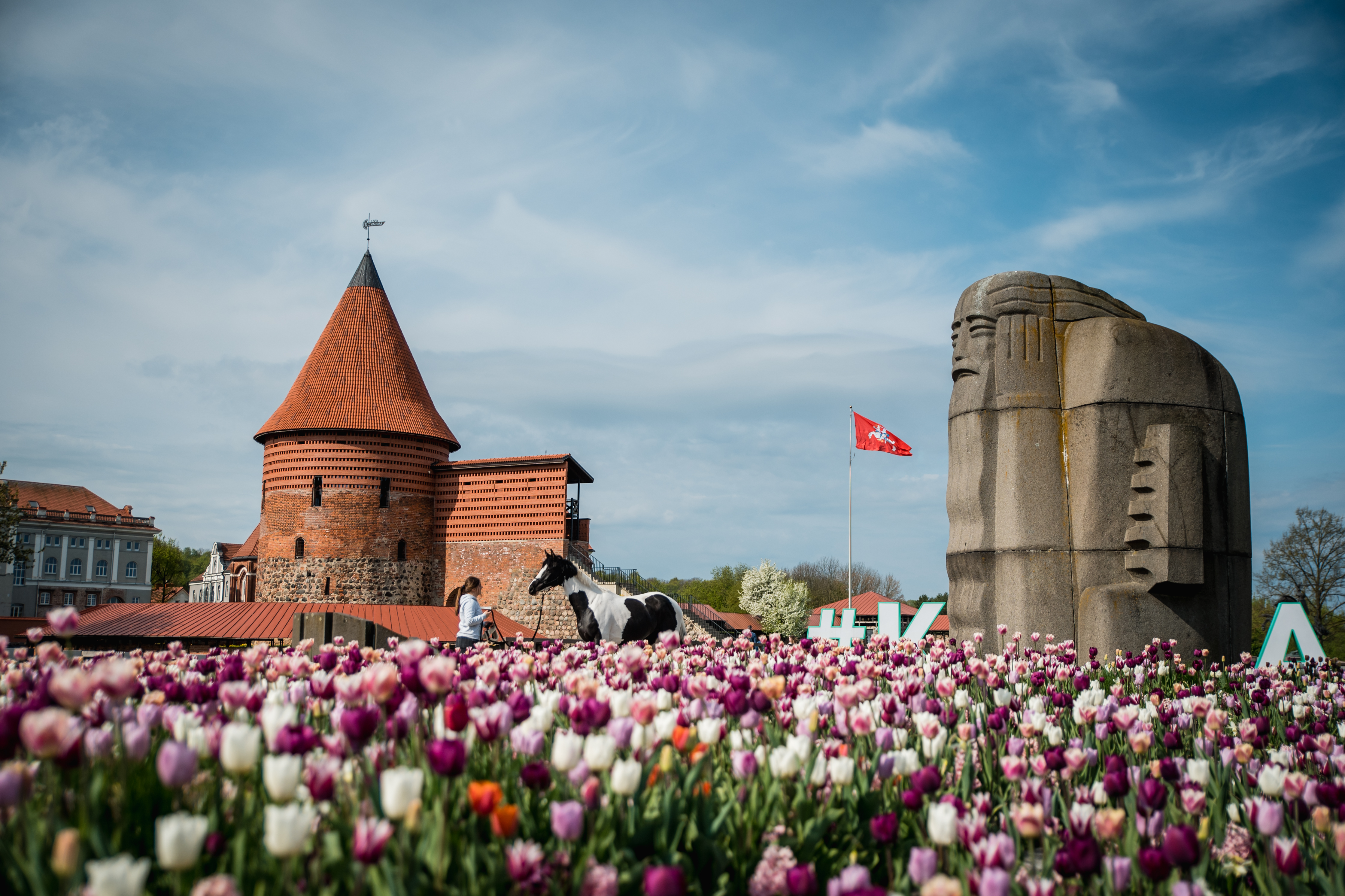 /Castello%20di%20Kaunas