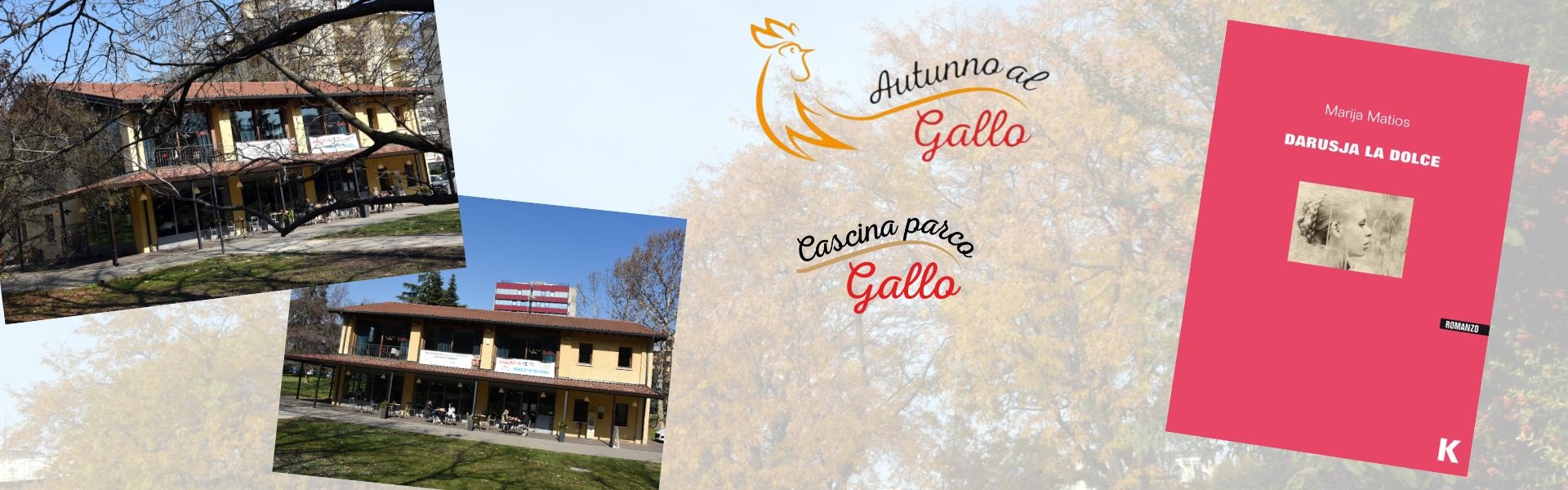 Autunno al gallo 2024 - 11 ottobre