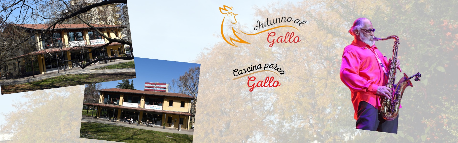 Autunno al gallo 2024