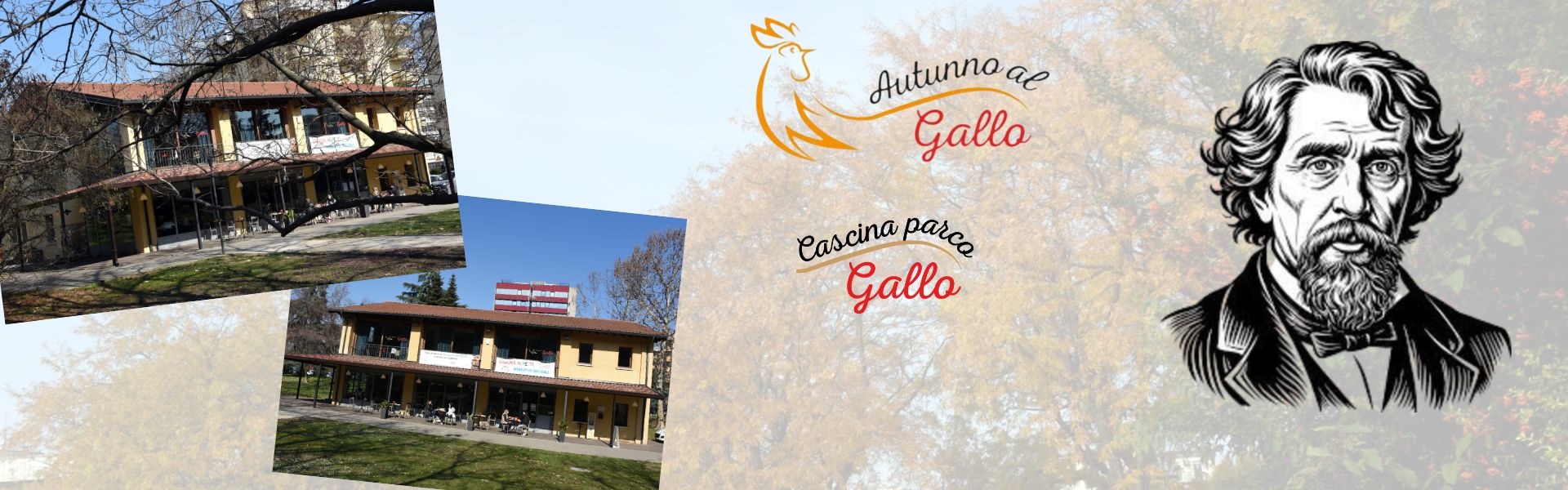 Autunno al gallo 2024 - 8 novembre