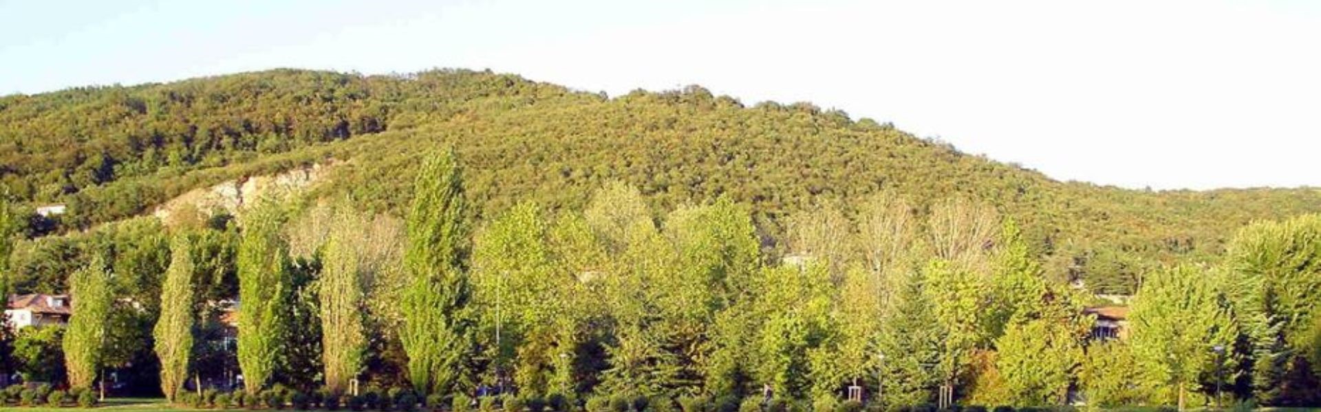 Brescianina in collina 