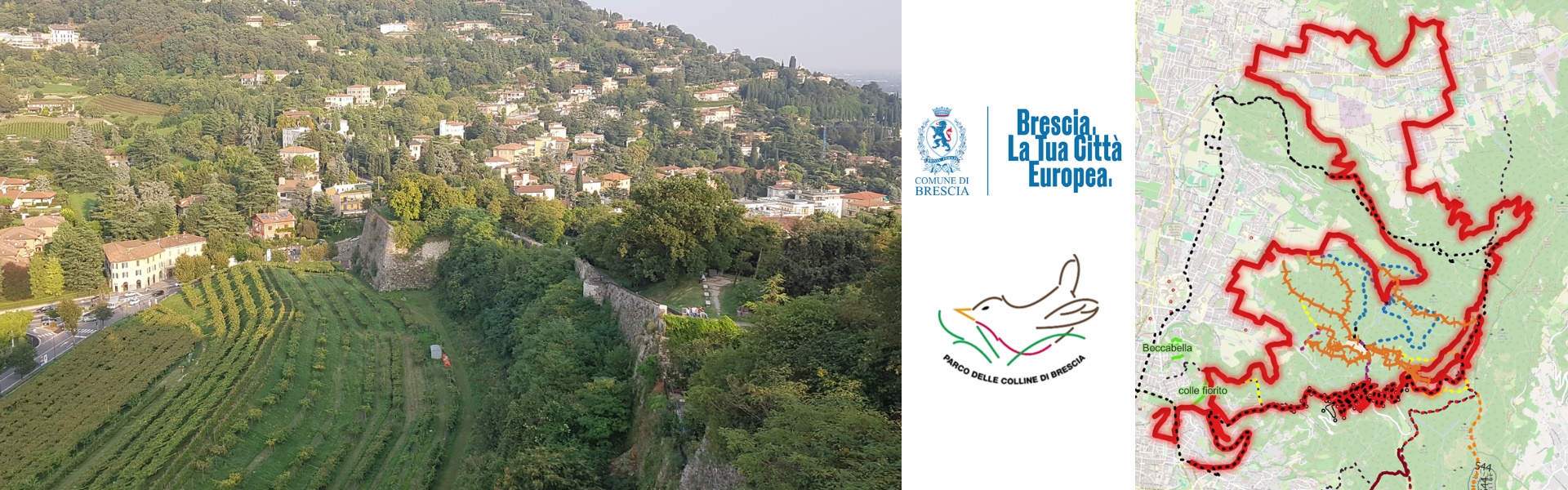 Alleanza per la Maddalena