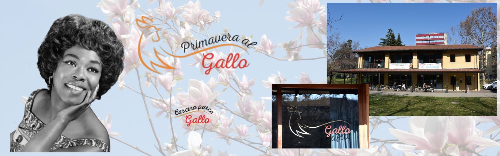 Primavera al gallo 2025 - 17 aprile
