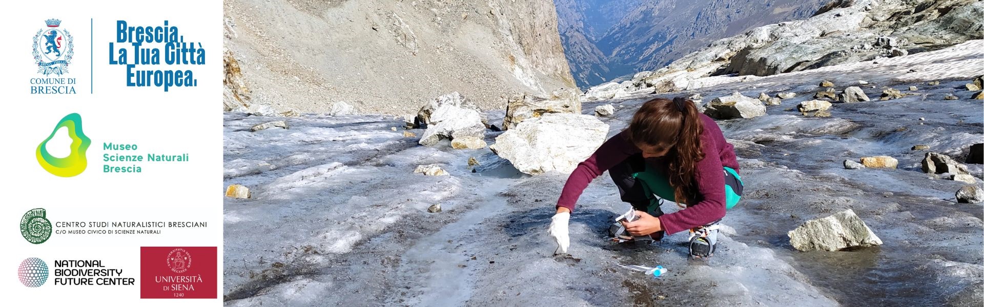 Museo scienze naturali - Pulci ghiacciai