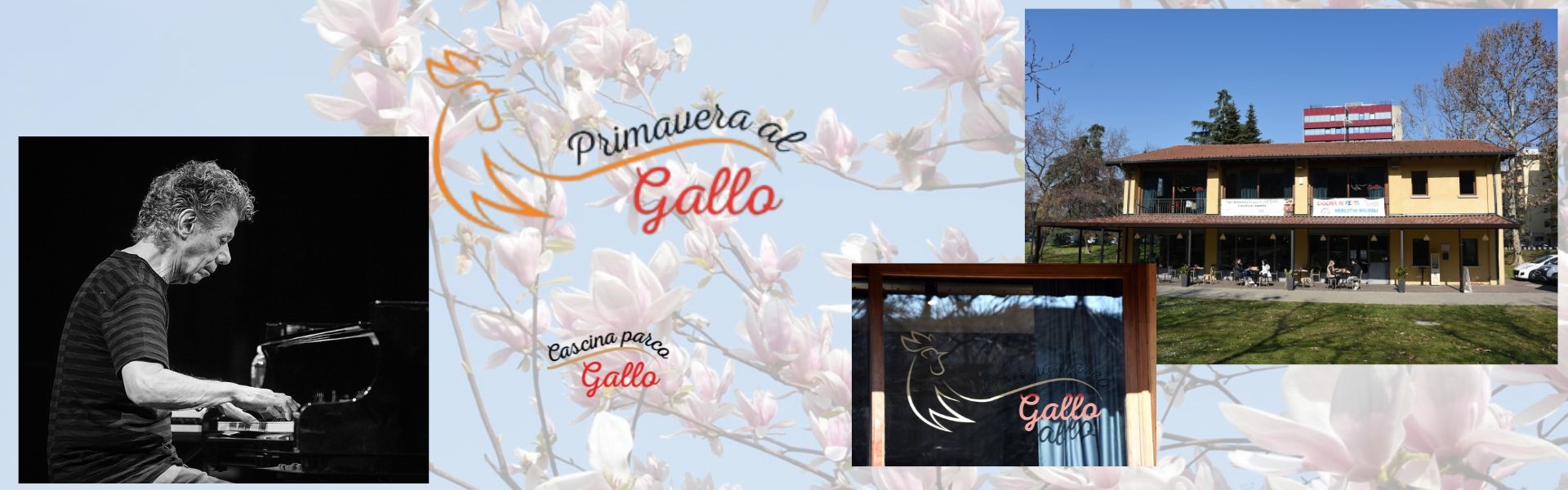 Primavera al gallo 2025 - 29 maggio