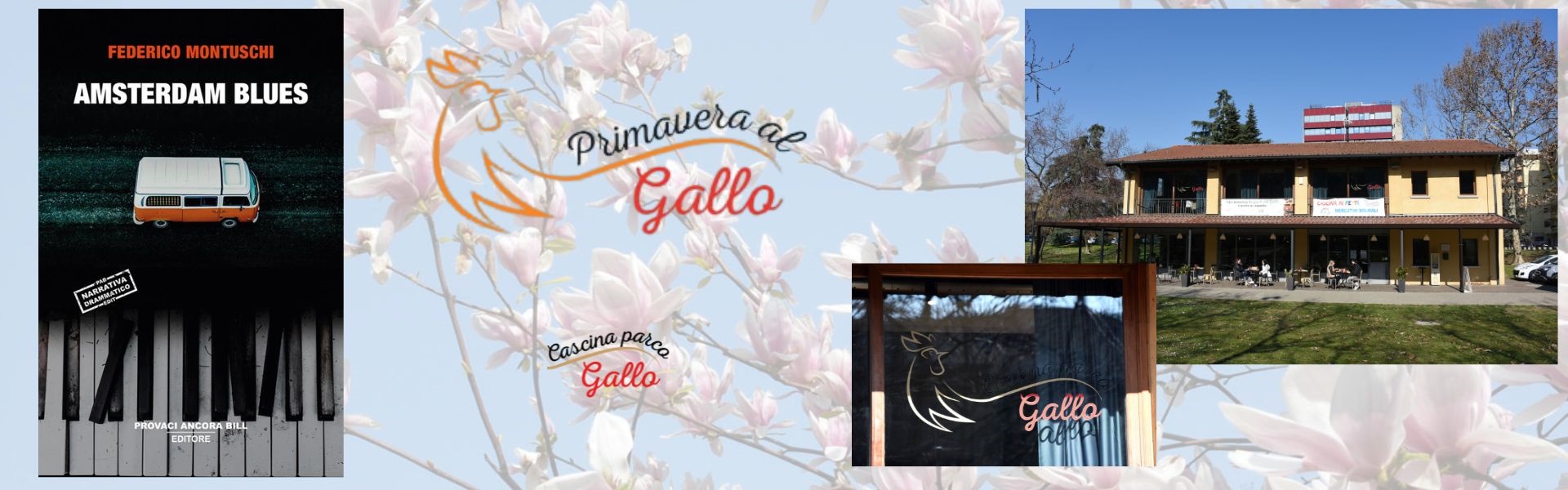 Primavera al gallo 2025 - 30 maggio