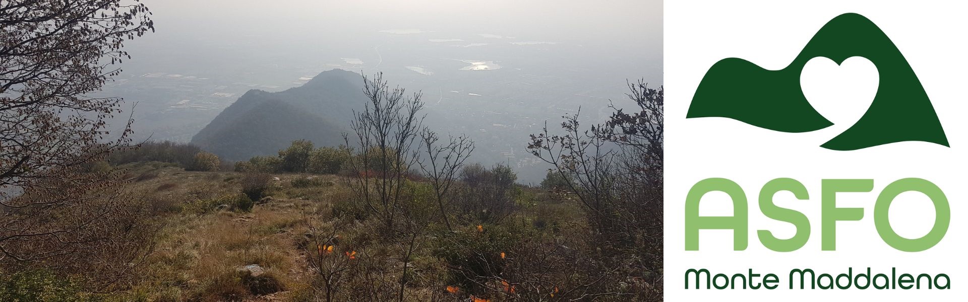 AsFo Monte Maddalena. Nuovo logo