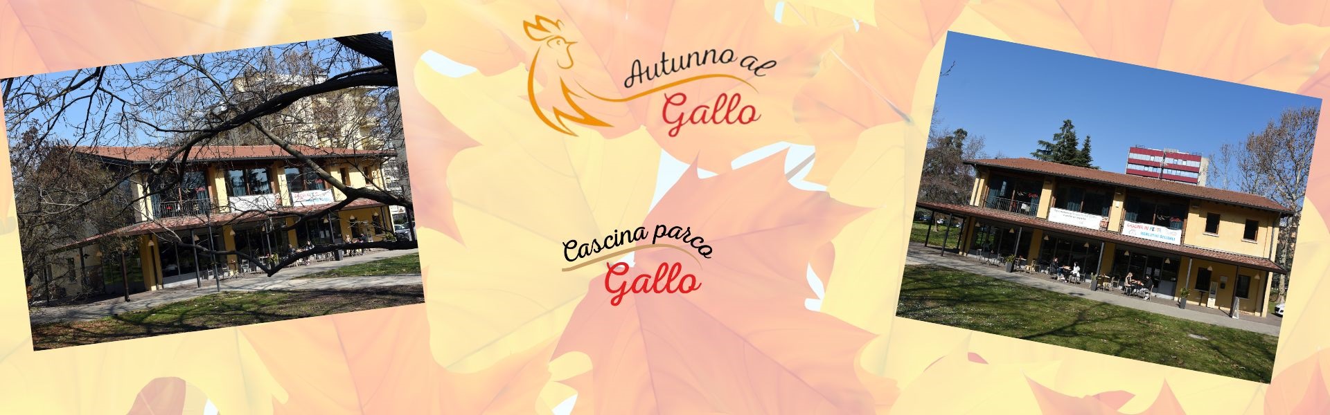 Autunno al Gallo 2025