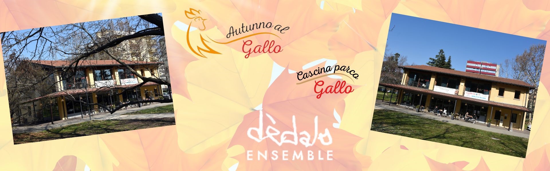 Autunno al Gallo 2025 - Dedalo ensemble