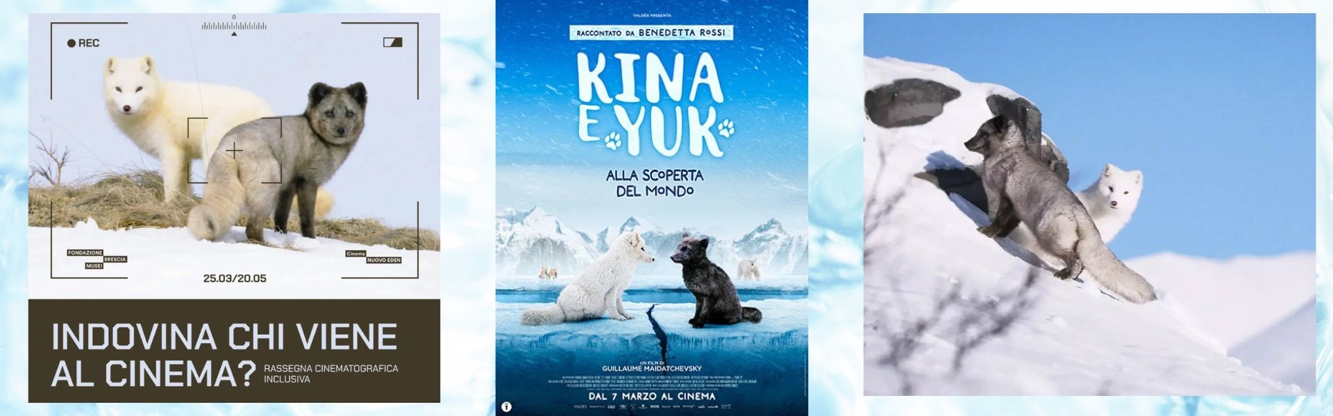 CNE 2026 - Indovina chi viene al cinema - 25 marzo