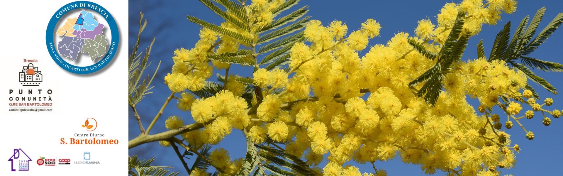 Festa Donna 2026 - San Bartolomeo