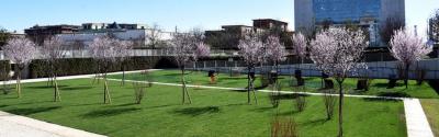 Riqualificazione giardino dei giusti 