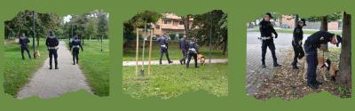Attività di controllo nei parchi cittadini